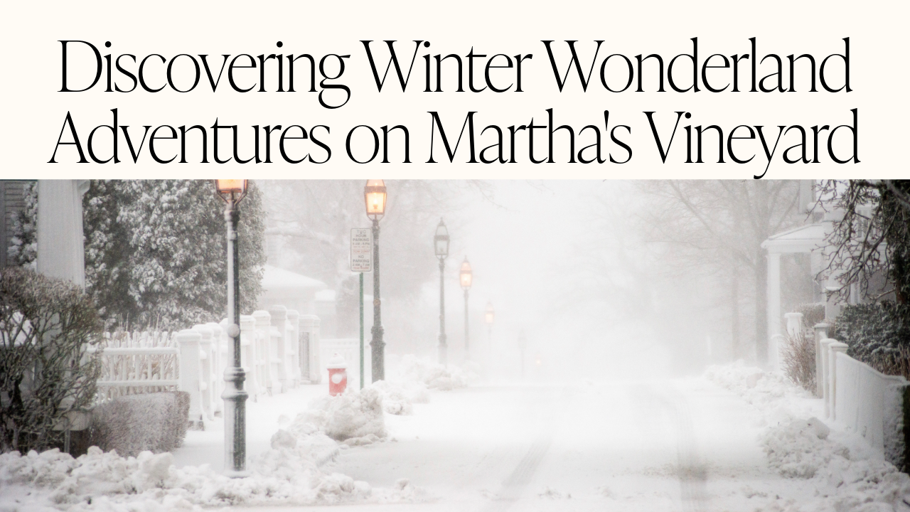 Discovering Winter Wonderland Adventures on Martha's Vineyard